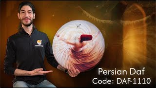 Persian Daf | Model DAF-1110 Pr | Sound Demonstration (54 cm Premium Quality)
