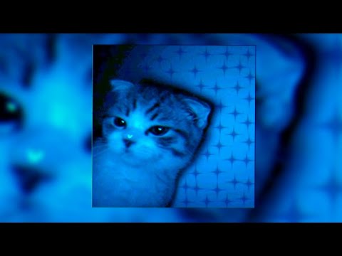 *FREE FOR PROFIT* sqwore x 17 seventeen x hyperpop type beat "murlыka"