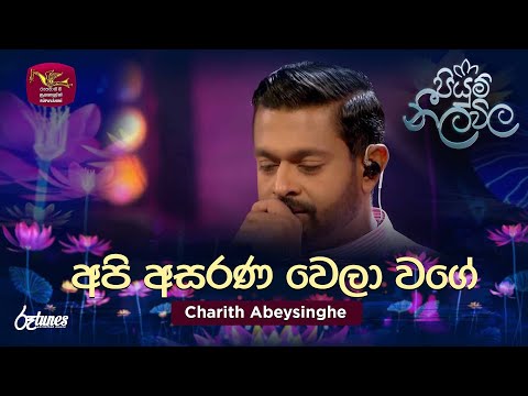 Api Asarana Wela Wage | අපි අසරණ වෙලා වගේ | Charith Abeysinghe | Piyum Neela Vila | Roo Tunes