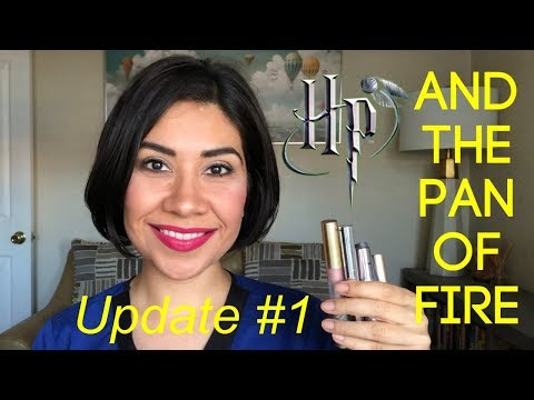 Harry Potter and the Pan of Fire Update #1 || Project Pan