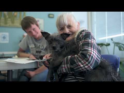 Feeding Pets of the Homeless Documentary