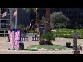 Hongre SBS 6 ans &ndash; Tr&egrave;s facile 