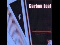 Carbon Leaf - American Tale