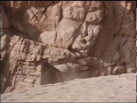 Vegard Flatøy Band - Min Lille Ponni