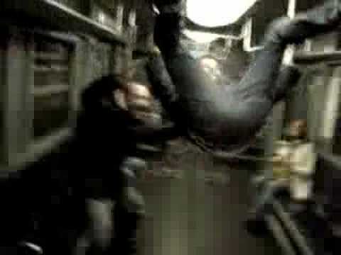 Scimmie Metropolitane