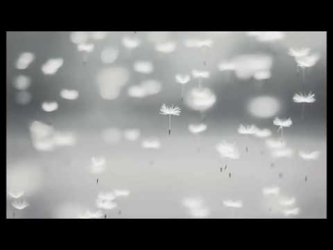 Tranzīts - Kailie sapņi