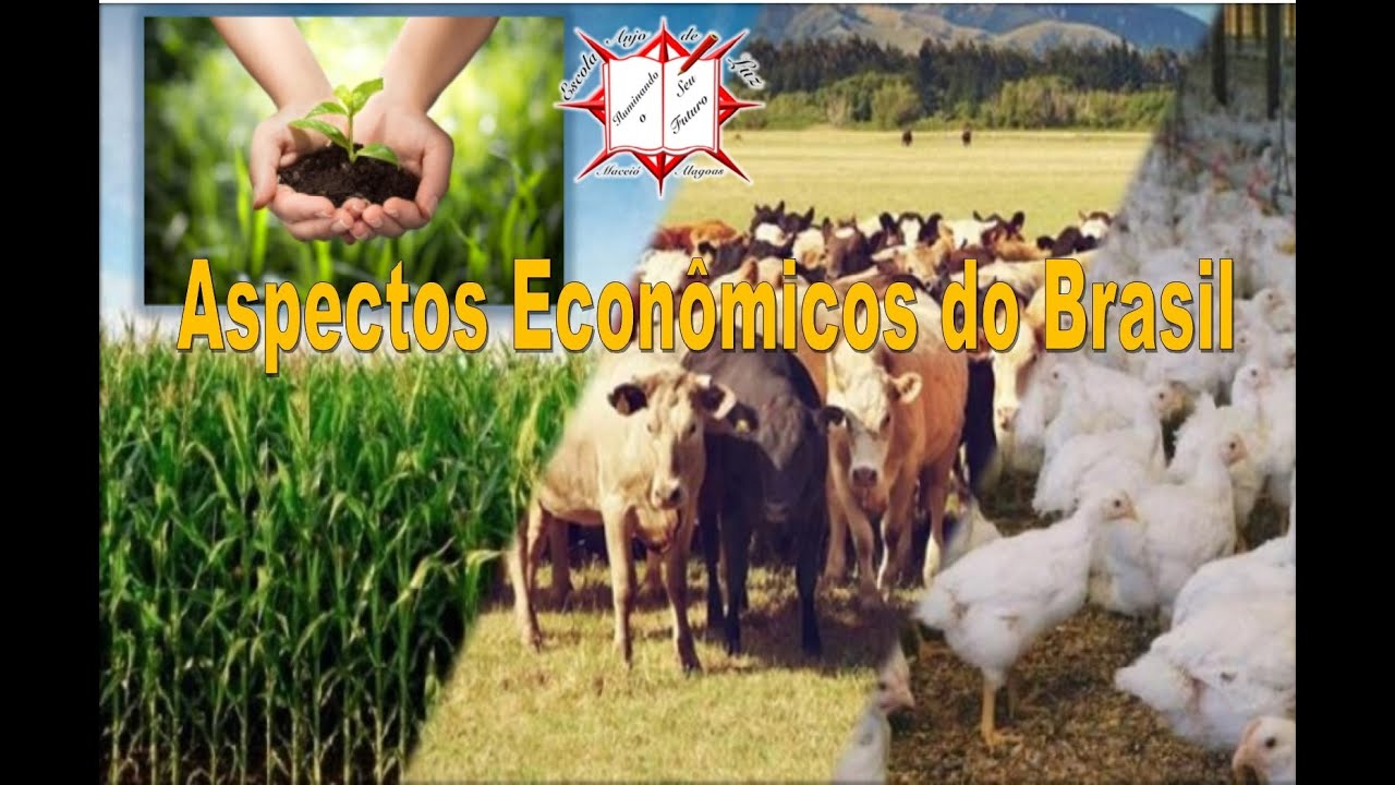 Aspectos Econômicos do Brasil
