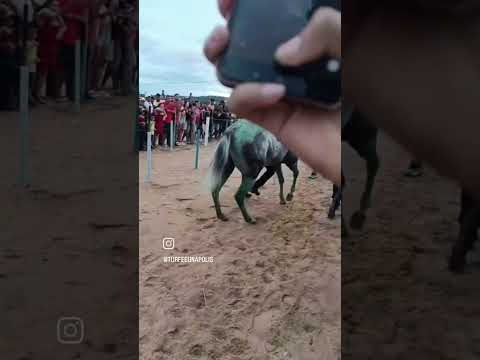 Corrida de cavalo em Baixa Grande Bahia