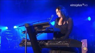 Evanescence - The Other Side (Live)