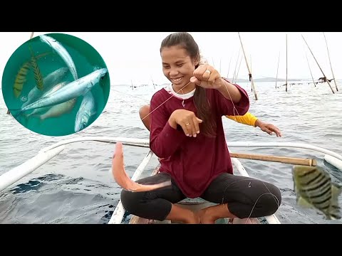 CATCHING FISH USING BIRA-BIRA #islandlife #fishing