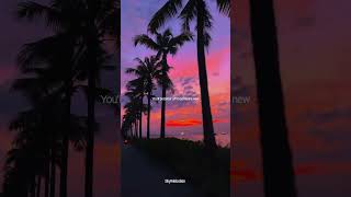 Download lagu Glass Animals - Heat Waves (lyrics) | I don't wanna be alone | aesthetic | Whatsapp status mp3