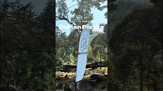 Download lagu BIGO LIVE - the Durian Fiesta, full of energy & fun! 🎉 mp3