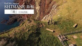 vignettes vidéo