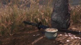 【トロコン目指すセキロ】2周目人返りエンド【パート16】