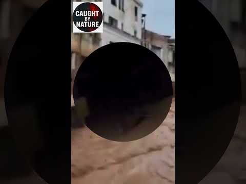 Brazil in Crisis: Historic Flooding Hits Minas Gerais