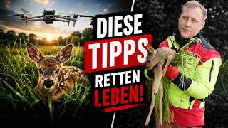 Wichtige Tipps die Leben retten! -  DAS musst du unbedingt bei der Kitzrettung beachten!