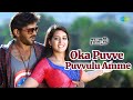 Oka Puvve Puvvulu Amme Video Song Nivaasi Movie Songs Shekhar Varma Viviya Charan Arjun