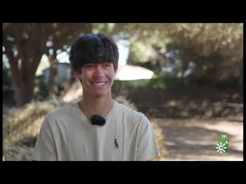 Amansar Caballos paso a paso.