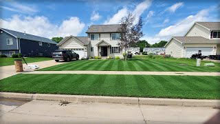 Fall Lawn Care?? Your Tips Here Plus MUCH MORE // TurfCast Live Ep 3!