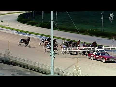 Aversa trotto 30 Dicembre 2020 - 6° Corsa