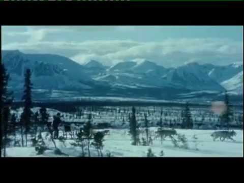 Spirit of the Wind Mr George ATTLA