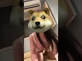 Doggy Sianjingimut Hotterbaru Bokepindo Videoviral 18plus Japanporn Japanesshot