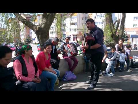 Circ cu un alai de romi la Dorohoi