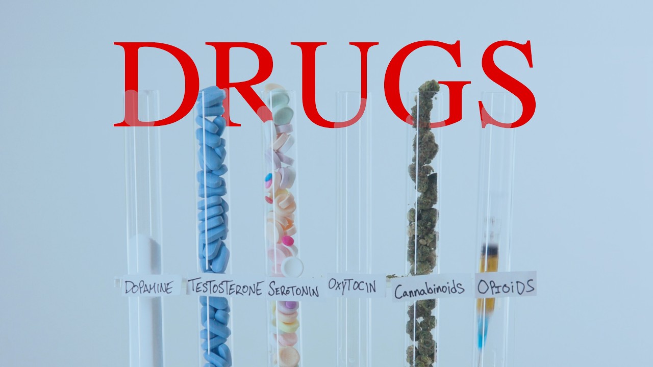 HAPPINESS: A Guide to the Drugs That Can Help You Get There