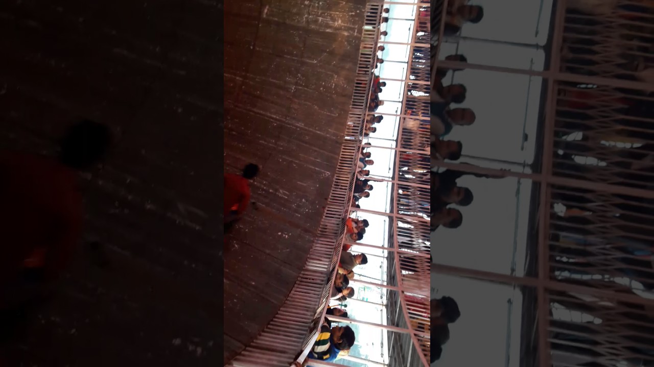 Sunil Kumar Kushwaha Gopalganj  (Bihar)