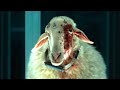 Alien Earth This Show Is The Real Monster