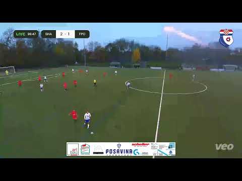 SG Harheim 1946 vs FC Posavina Frankfurt e.V.