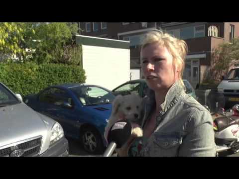 Bandenprikker in het Westland mogelijk gefilmd