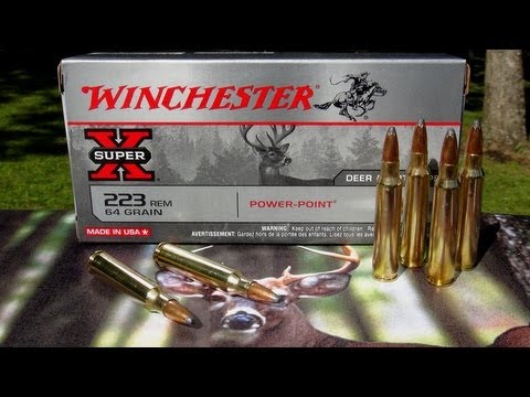 AMMO REVIEW:  .223 Winchester 64 gr Power-Point