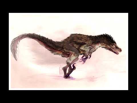 Velociraptor Tribute
