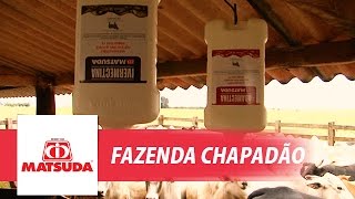 preview picture of video 'Antiparasitários para bovinos (Fazenda Chapadão)'
