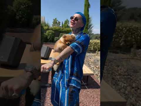 W sound N°01 Blessd, Westcol y Ovy on the Drums #SOLTERA (Official Musical Preview)