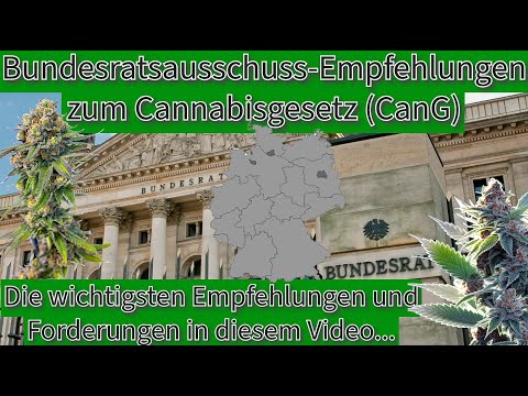 Bundesrat Ausschussempfehlungen zur Entkriminalisierung Cannabisgesetz CanG Overview Ländermeinungen
