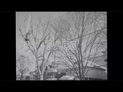 PACE - J.A.I Makes Music (OFFICIAL MUSIC VIDEO)