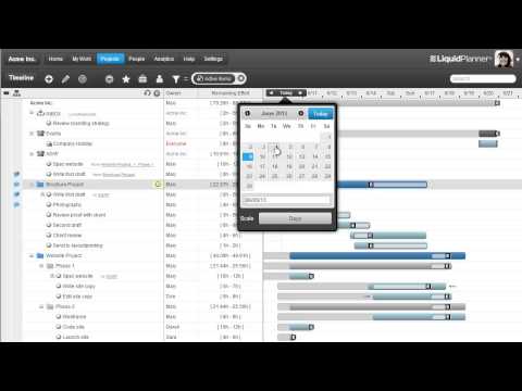 Видео LiquidPlanner