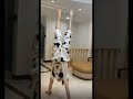 Japanese Girl Gymnastics Trending Shorts Funny Viral Japanese Japanesegirl