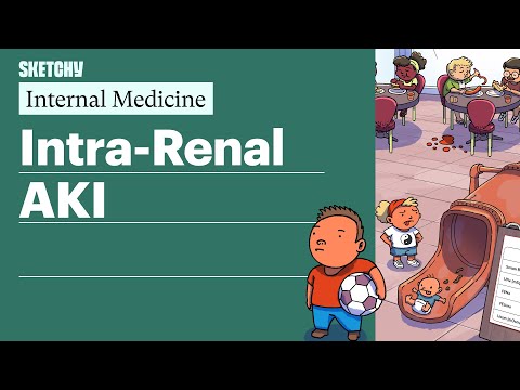Intra-Renal AKI (Internal Medicine) | Sketchy Medical