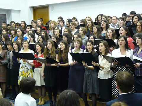 Amicus Bucuresti Cluj - Lucacesti Noul Grand 2010