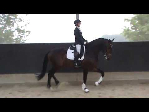 Jippiyade VDW (EL Capone x Jazz x Argus) and Jose van Haaren in Someren (13May2018-1)