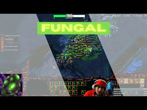 Two Years of Fungal Growth