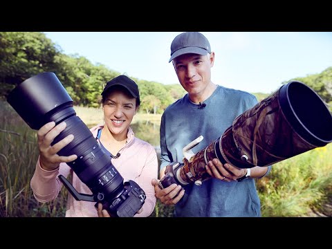 Wildlife Zooms vs Primes (plus lens recommendations)