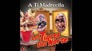 Los Tigres Del Norte Cariño sin condicion