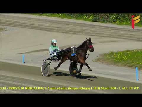 Prova di riqualifica del 8 Febbraio 2022