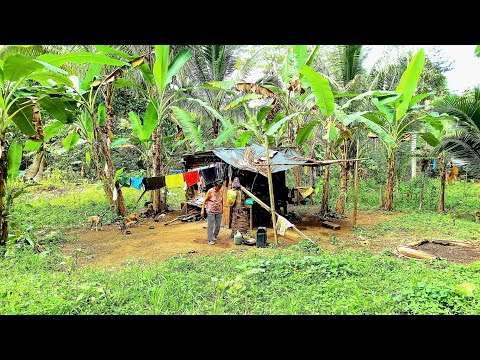Off-Grid Living in Philippines 🇵🇭 