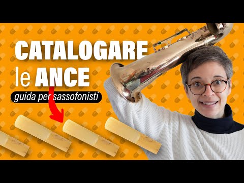 Sassofono e clarinetto Scegliere e catalogare le ANCE ✅ GUIDA