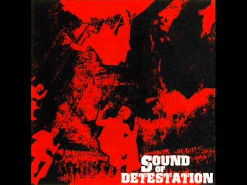 SOUND OF DETESTATION - The withering process